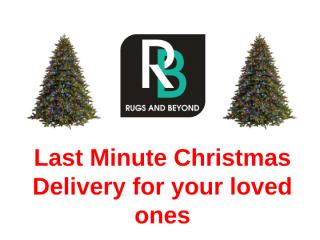 6. Last Minute Christmas Delivery for your loved ones.pptx